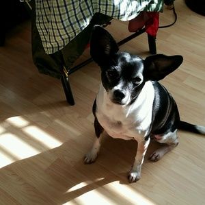 Meet your Posher, Frank